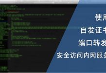 使用自签发证书与端口转发 安全地访问内网服务 二