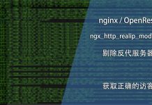 nginx剔除反代服务器IP & 获取正确的访客IP