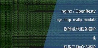 nginx剔除反代服务器IP & 获取正确的访客IP
