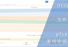 ntopng历史文件过大导致pfsense系统空间不足