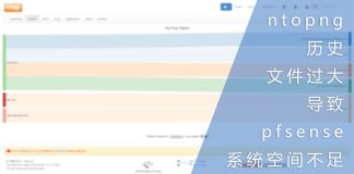 ntopng历史文件过大导致pfsense系统空间不足