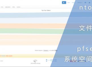 ntopng历史文件过大导致pfsense系统空间不足