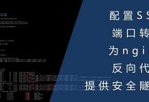 配置SSH端口转发为nginx反代提供安全隧道