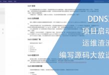 DDNSX项目启动 | 运维渣渣编写源码大放送