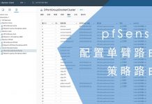 pfSense模拟配置单臂路由与策略路由