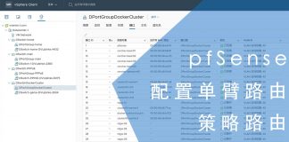 pfSense模拟配置单臂路由与策略路由